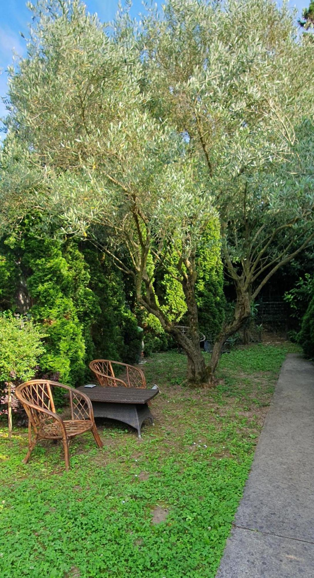 波尔托罗Cypress Garden公寓 外观 照片